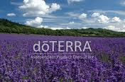 doterra_foto-campo-di-lavanda.jpeg